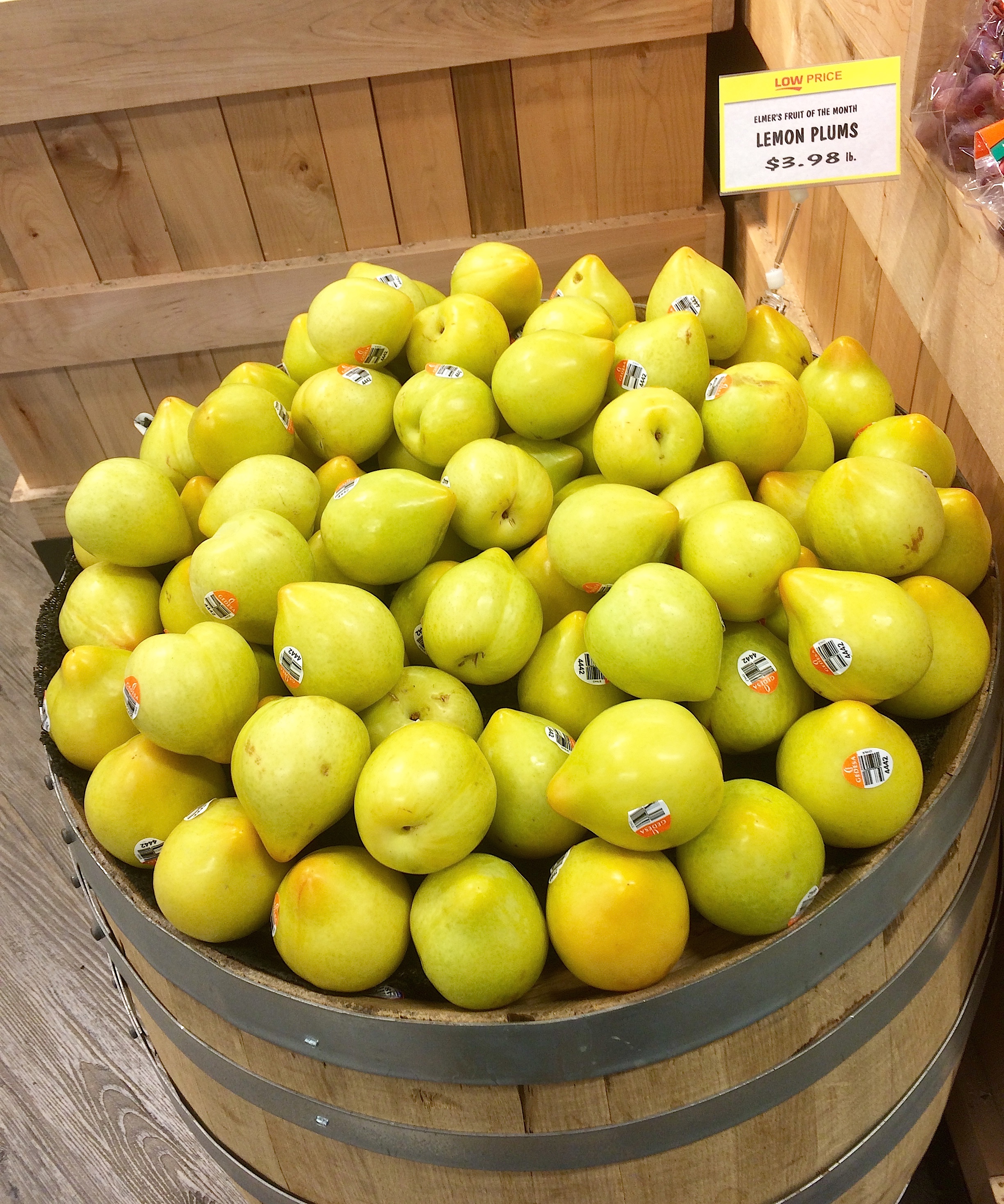 My Love of Lemon Plums... and I hate plums. * Virtual Lab Rats