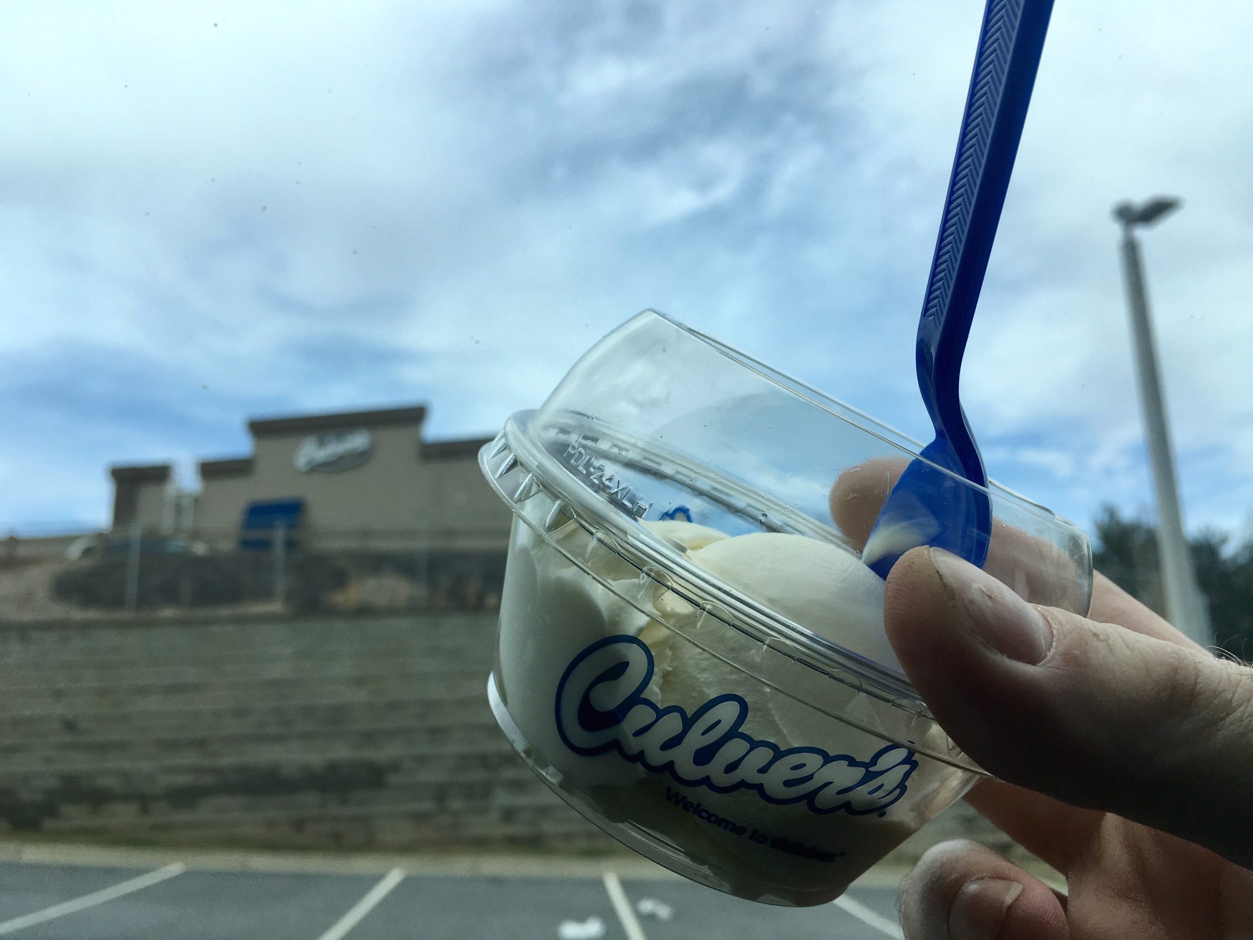 Culver's Frozen Custard Single Scoop Perfect for Dieters * Virtual Lab Rats