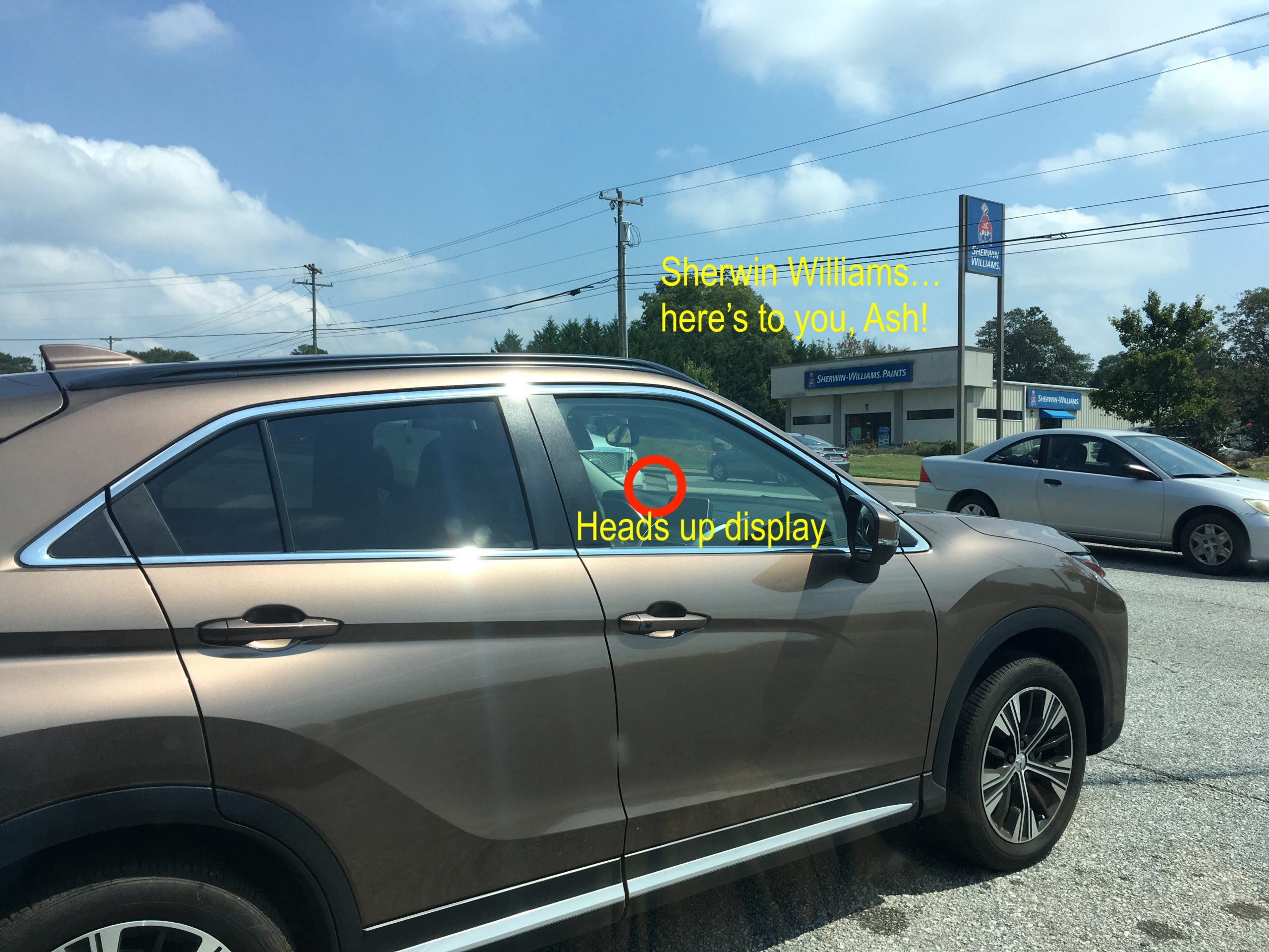 Sherwin Williams Paint Store Greer SC Pelham Mill Dog Park * Virtual Lab Rats